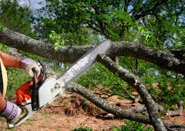 Best Lawn Grading and Leveling  in Port Dickinson, NY